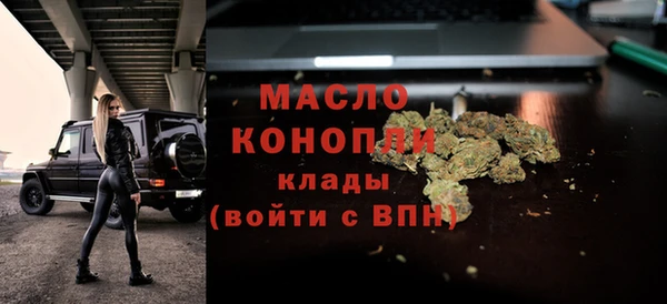 сатива Няндома