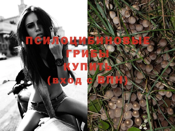 хмурый Нязепетровск