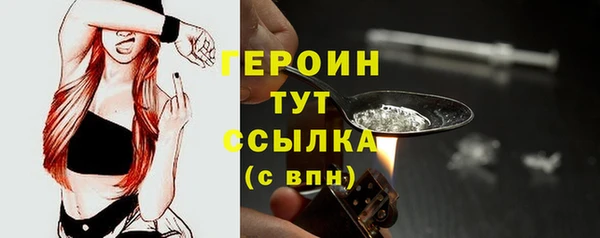 сатива Няндома