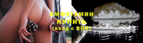 сатива Няндома