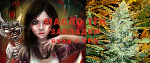 сатива Няндома