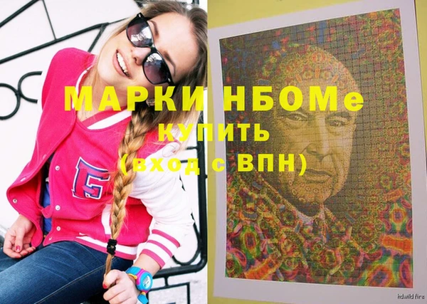 сатива Няндома
