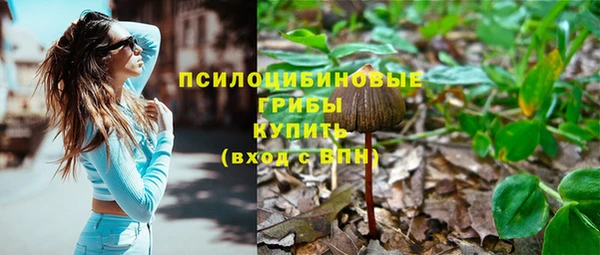 сатива Няндома