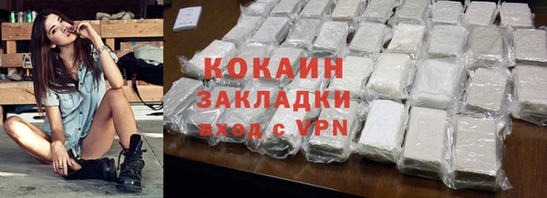 сатива Няндома