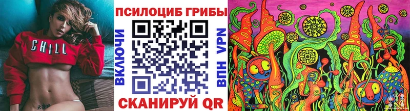 Псилоцибиновые грибы Magic Shrooms  где можно купить наркотик  Нахабино 